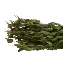 Adaçayı Alanya-antalya Dmt Adaçayı Alanya-antalya Dmt