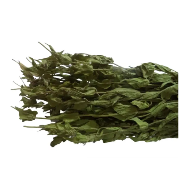 Adaçayı Alanya-antalya Dmt