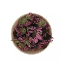 Ekinezya Kelle (çiçek)