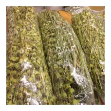 Dağ Melisa Otu Demet