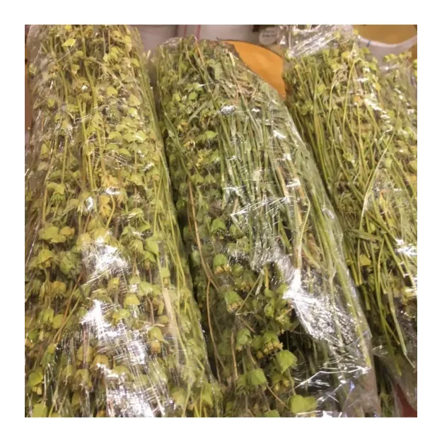 Dağ Melisa Otu Demet