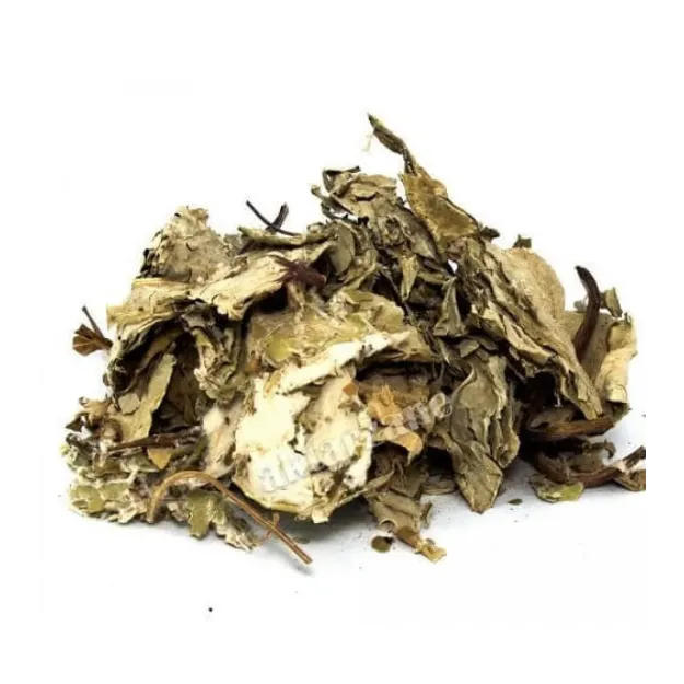 Öksürük Otu  Farfara (deve Tabanı)