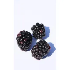 Böğürtlen Meyvesi