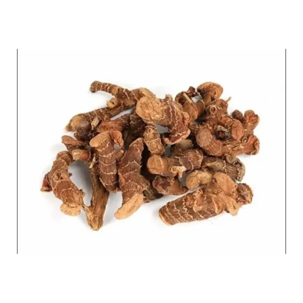 Havlıcan Tane Çin Orjinal