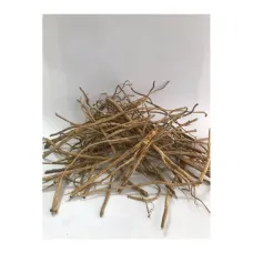 Çin Geveni-astragalus