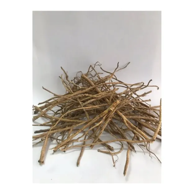 Çin Geveni-astragalus