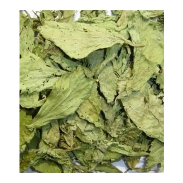 Şeker Otu (gurmar-cinnema)