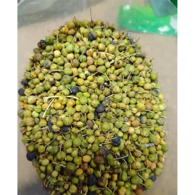 Acı Çehre Meyvesi Yeşil 100 GR