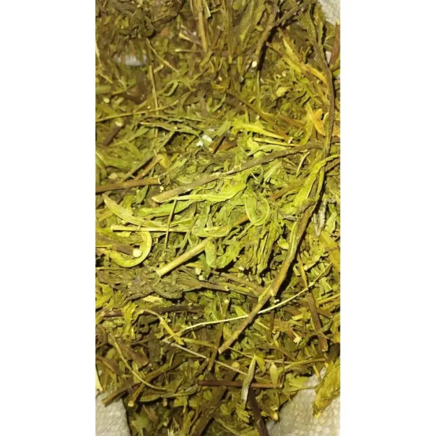 Yapışkan Andız Otu