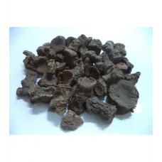 Andız Kökü (rizom)