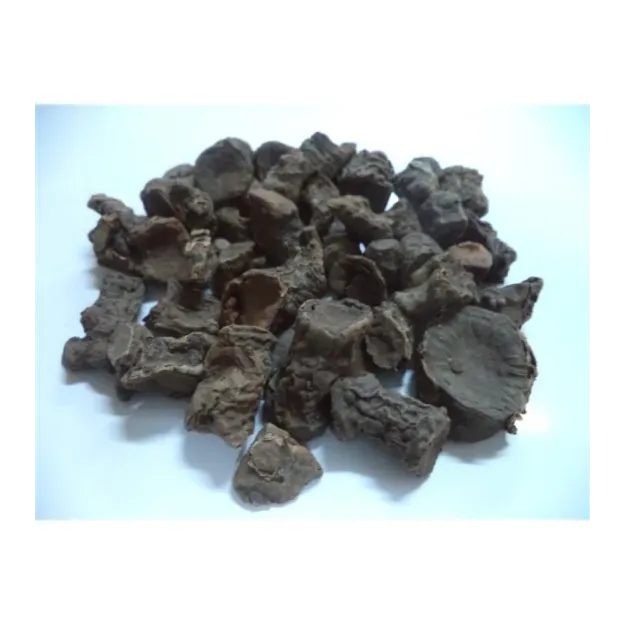 Andız Kökü (rizom)