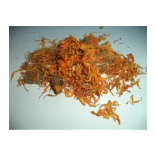 Aynısefa Çiçeği Sarı