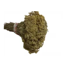 Ayvadana Demet(civanperçemi)