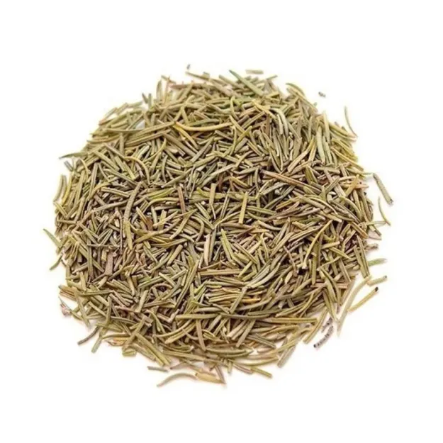 Biberiye-rosmarinus Officinalis