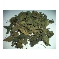 Böğürtlen Yaprağı Böğürtlen Yaprağı