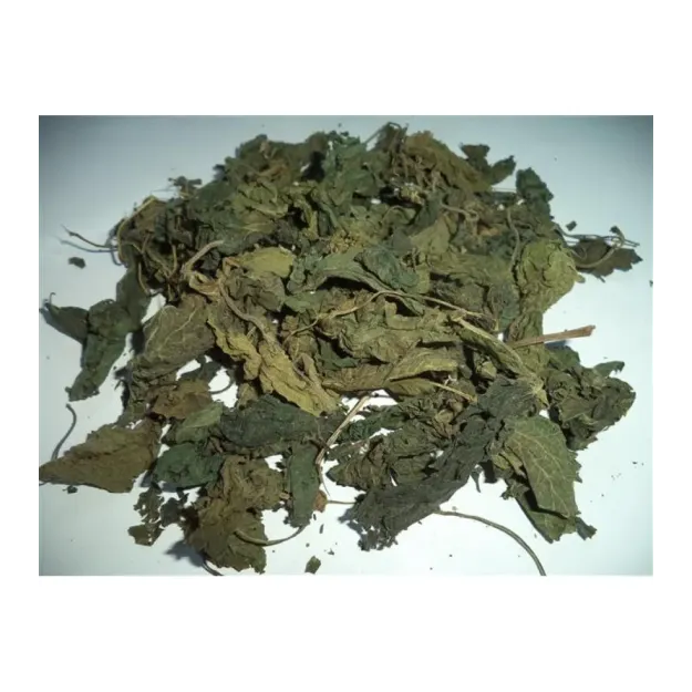 Böğürtlen Yaprağı