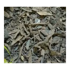 Yaprak Buhur-amber Kabuğu