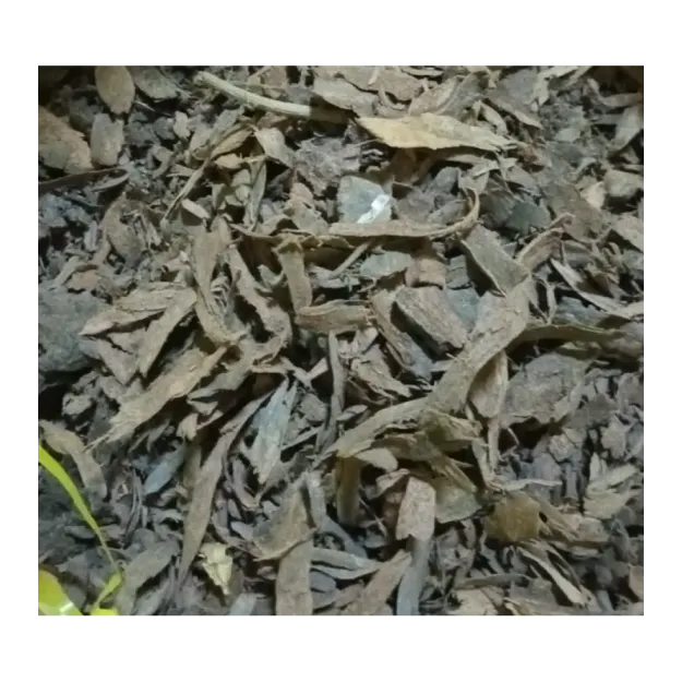 Yaprak Buhur-amber Kabuğu