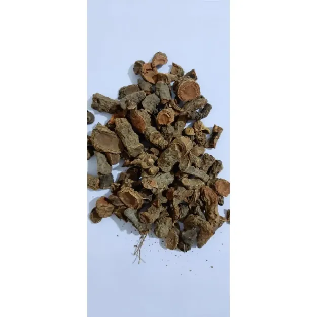 Centiyane-yılan Otu Kökü