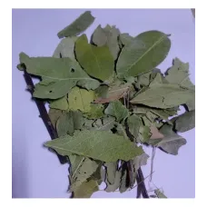 Dağ Çileği-kocayemiş Yaprağı Granül