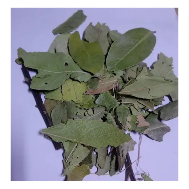 Dağ Çileği-kocayemiş Yaprağı Granül