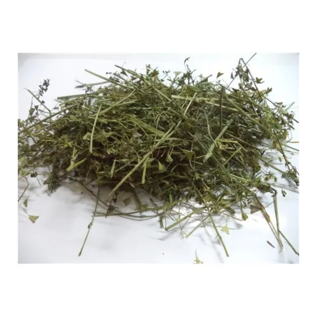 Çoban Çantası-çemberotu-civelek