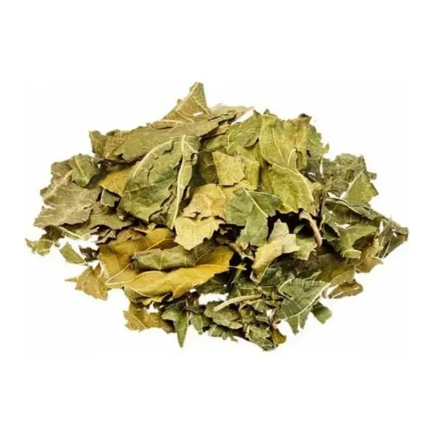 Dut Yaprağı 500 GR