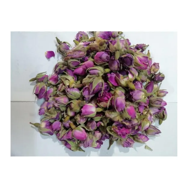 Gül Kurusu Pembe Tomurcuk