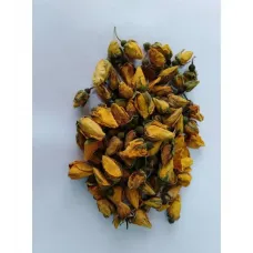 Gül Kurusu Sarı Tomurcuk