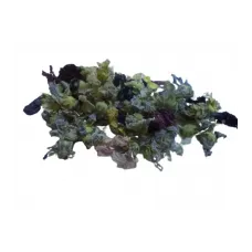 Hatmi Çiçeği Yerli( Karışık Çiçek)