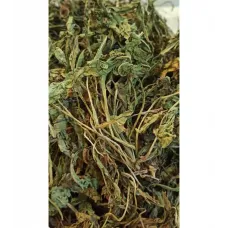 Karahindiba-taraxacum Officinale