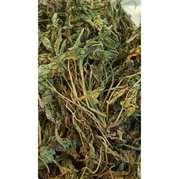 Karahindiba-taraxacum Officinale