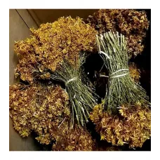 Kantaron Otu Sarı Demet