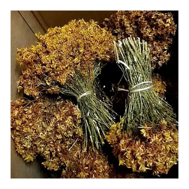 Kantaron Otu Sarı Demet