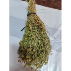 Üzerlik Otu Demet Yeşil 2025