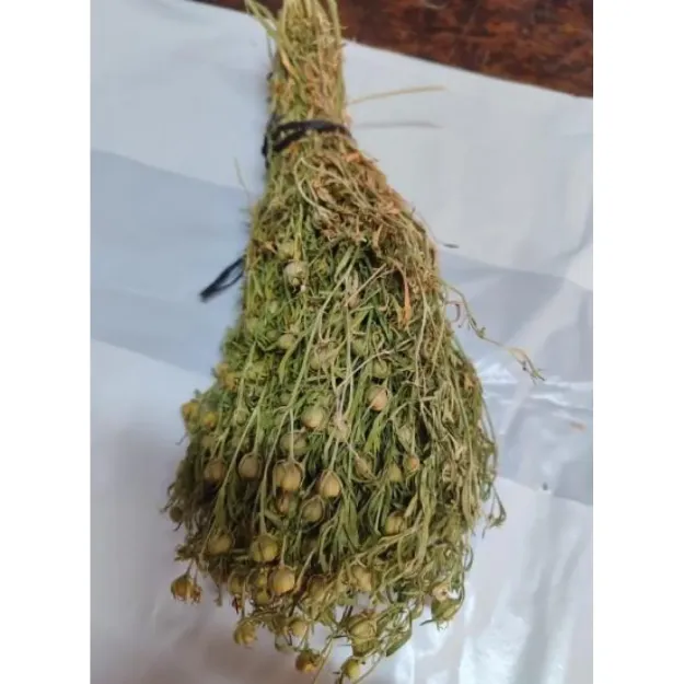 Üzerlik Otu Demet Yeşil 2025