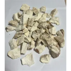 Yılan Burçağı-gavur Pancarı Kökü