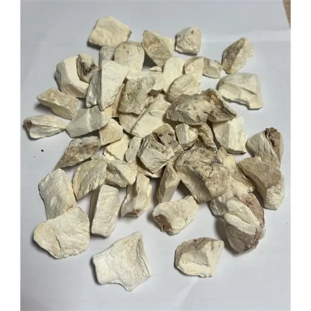 Yılan Burçağı-gavur Pancarı Kökü