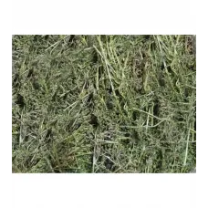 Yoğurt Otu/yapışkan