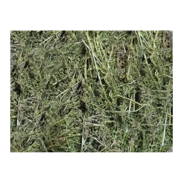 Yoğurt Otu/yapışkan