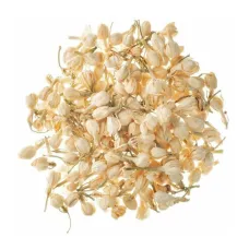 Yasemin Çiçek Beyaz Tomurcuk