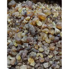 Zamkarabı (arap Zamkı)-akasya Gamı