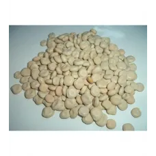 Acı Bakla-termiye-yahudi Baklası