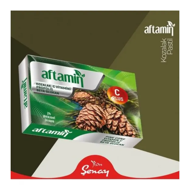 Aftamin Pastil Kozalak C Propolis 24 Ad.