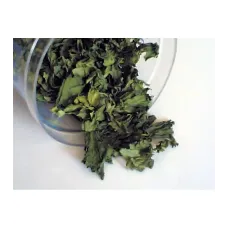 Kereviz Kök Kurusu Granül