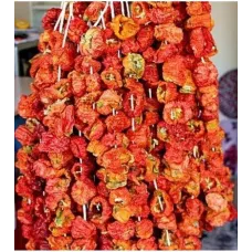 Kuru Biber Dolma  20 Li (iadesiz)