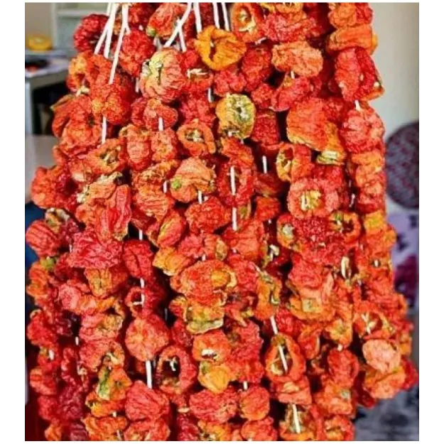 Kuru Biber Dolma  20 Li (iadesiz)