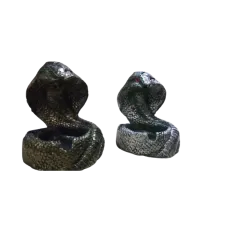 Geri Akışlı Tütsülük Yılan