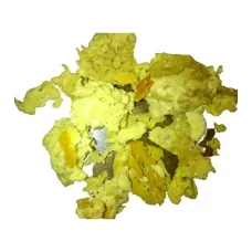 Deniz Süngeri İri Koyu Renkli