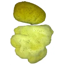 Deniz Süngeri Sarı Kilo
